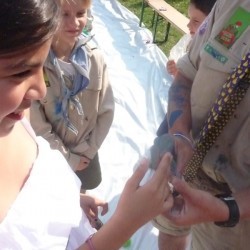 P1190220 - Scouts en Gidsen Zaventem 